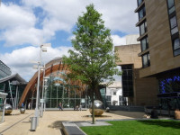 Image illustrating Sheffield City Centre student accommodation post by Sheffield Property to Let. - Thumbnail