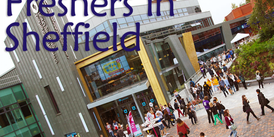 Things That Every Student Does In Their First Few Weeks Of University