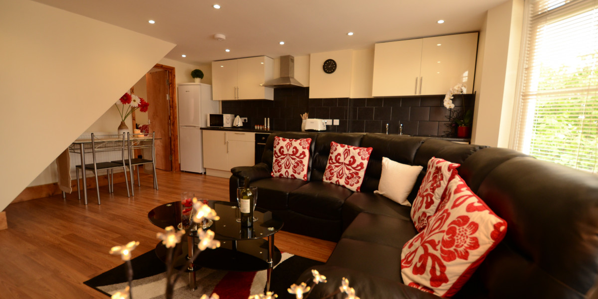 Kitchen / Dining Room / Living Room, Furnished Apartment