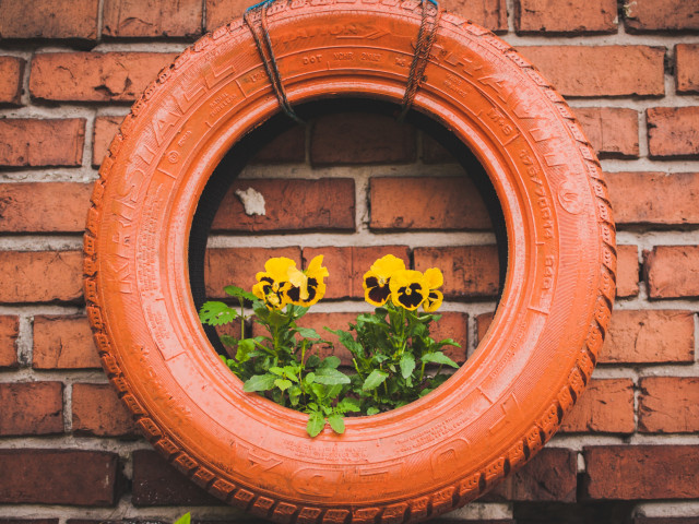 Recycling and Living Sustainably in your Student House in Sheffield