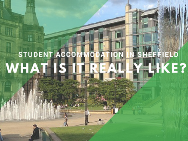 Header graphic for Sheffield Property To Let on a blog entitled Student Accommodation in Sheffield-What Is it Really Like? Shows Peace Gardens n Sheffield