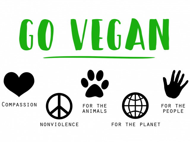 guide for vegan students in Sheffield