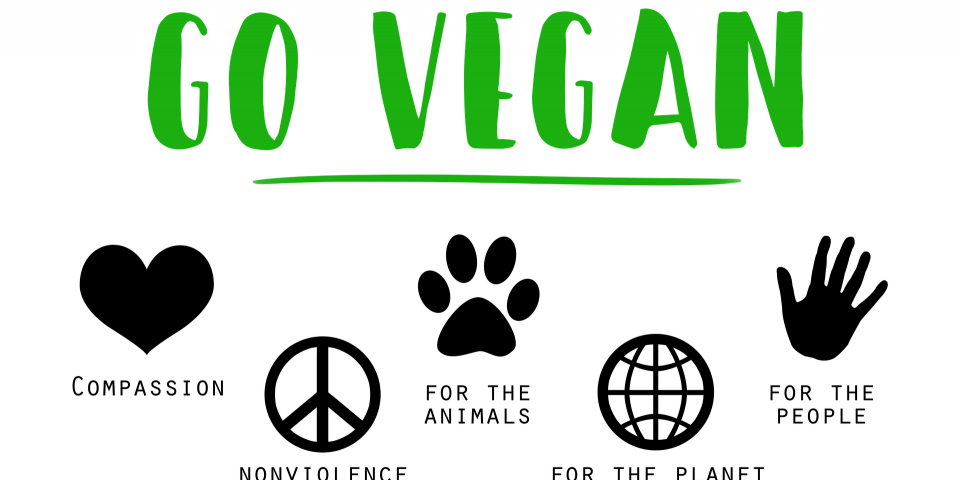 guide for vegan students in Sheffield