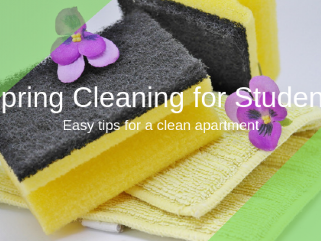 Easy tips for students to spring clean