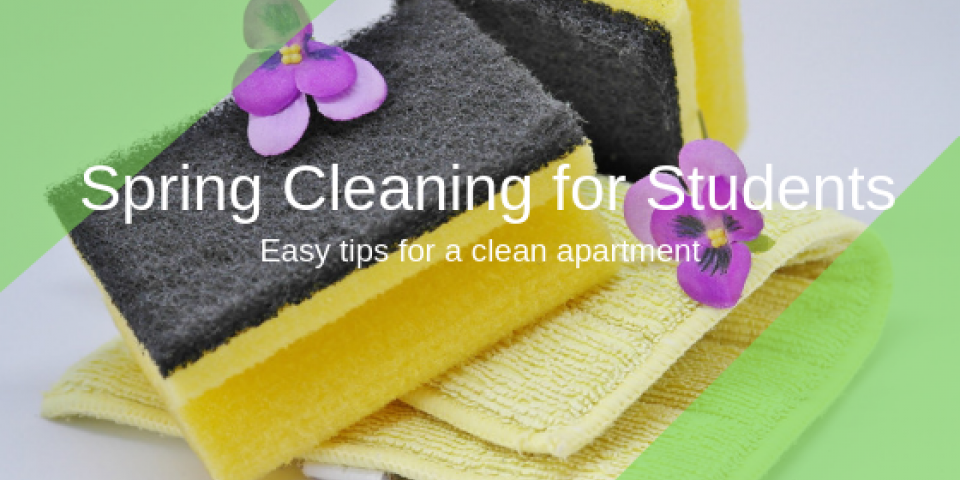 Easy tips for students to spring clean