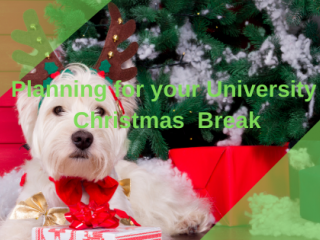 Planning for Christmas University break