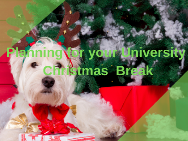 Planning for Christmas University break