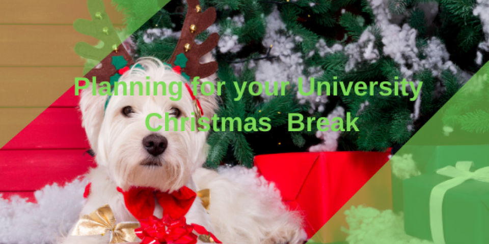 Planning for Christmas University break